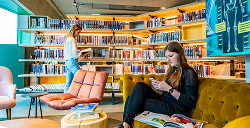 project.alttext_fallback