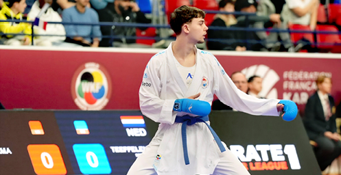 project.alttext_fallback