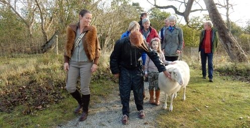 Gezond Natuur Wandelen met Zorg en Zekerheid