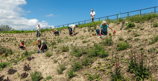 project.alttext_fallback