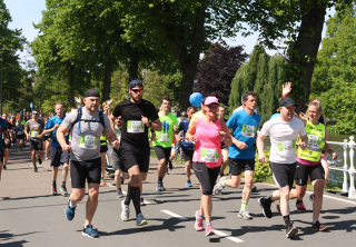 project.alttext_fallback