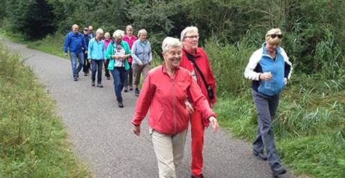 Gezond Natuur Wandelen