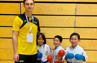 project.alttext_fallback