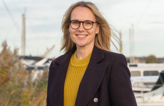 project.alttext_fallback