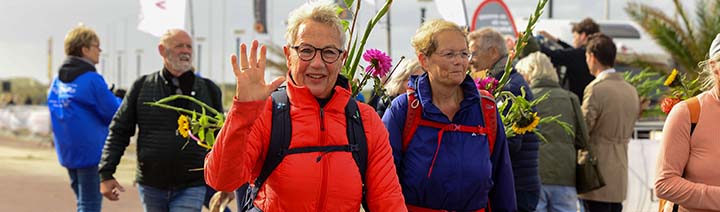 project.alttext_fallback