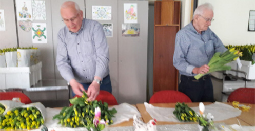 Paasbloemetje brengt vrolijkheid
