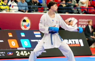 project.alttext_fallback