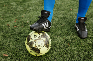 project.alttext_fallback